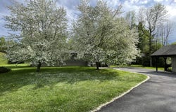 49 Honey Drive, Plattsburgh, NY 12901