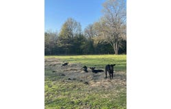 7705 S Kite Rd, Milburn, OK 73450
