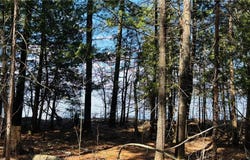 Tbd County 37, Laporte, MN 56461