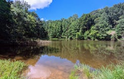5694 Ladd Springs Road, Old Fort, TN 37362