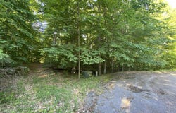 Lot 10 S Club Drive, Cedar, MI 49621