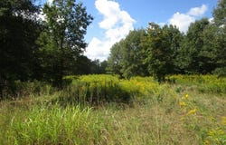 Hwy 59, Texarkana, TX 75501