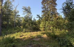 Ms-570, Summit, MS 39666