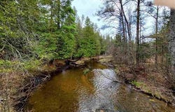 80 Lovells Road, Grayling, MI 49738