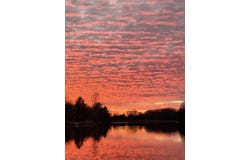 9158 Elmwood Court, Canadian Lakes, MI 49346