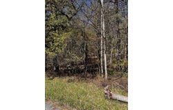 Lot 5882 Tumbleweed Drive, Long Pond, PA 18334