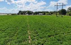 52351 848 Road, Neligh, NE 68756