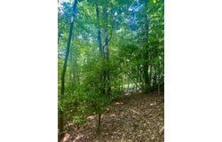 Lot22 Bryant Cove Road, Blairsville, GA 30512