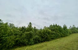 Ferguson Mill Road, Silver Creek, MS 39663