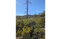 958 NAVAJO Trail, Show Low, AZ 85901