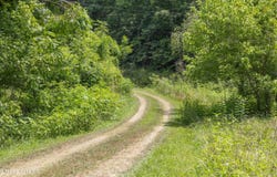 1548 Hawk Lane, Seymour, TN 37865