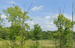 7687 Ravenna Road, Hudson, OH 44236