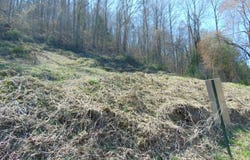 Walnut Lane, Pineville, KY 40977