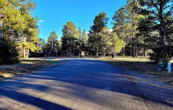 225 Badger Trail, Ridgway, CO 81432