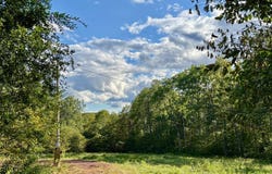 216 Neer Rd, Long Eddy, NY 12760