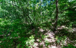 Lt14 BLUE HERON, Whitewater, WI 53190