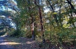 5723 Independence Avenue, Portage, IN 46368