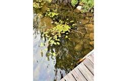 ON CTH FF, Mercer, WI 54547