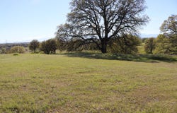 Lot 80 Pimlico Court, Cottonwood, CA 96022