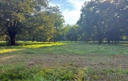 Highway 65 S, Tallulah, LA 71282
