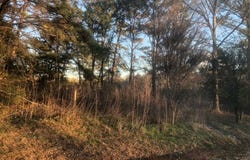 TBD Integrity Rd.  Lot #3, Mccomb, MS 39648