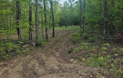 1 Pebble Drive, Clinton, AR 72031