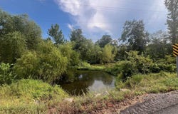 E Hwy 28, Bluffton, AR 72827