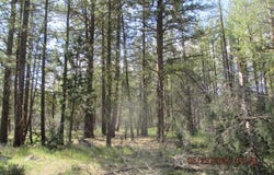 0 Golden Eagle Drive, Bonanza, OR 97623