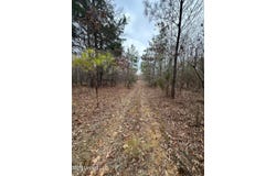Gordon Road, Duck Hill, MS 38925