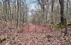 N Ricks Road, Byhalia, MS 38611
