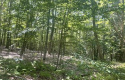 L4.15 Ny 22, Berlin, NY 12022