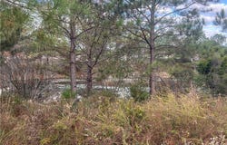 100 Crimson Ridge Rd, Brookwood, AL 35444