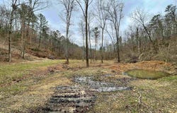 001-05451-000 TOMAHAWK SLAB ROAD, St Joe, AR 72675