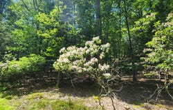 145 & 146 Indian Drive, Greentown, PA 18426