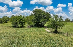 TBD FM 389, Fayetteville, TX 78940