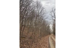 9999 King Mountain Road, Williamsburg, KY 40769