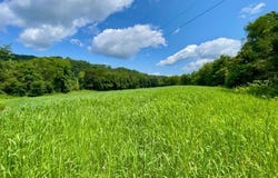 70810 Angus Road, Kimbolton, OH 43725