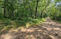 6946 W 7 Mile Road, Irons, MI 49644