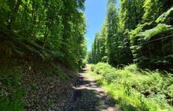 Co Rt 35/4 Jobs Run, Glenville, WV 26351