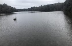 18055 Rakestraw, Tallahassee, FL 32310