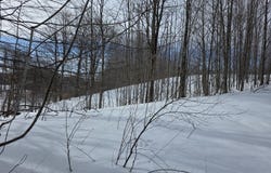 VL Ranch Drive, Bellaire, MI 49615