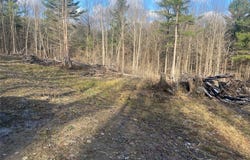 Stony Hill Road, Scio, NY 14880
