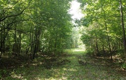Markerville Road, Story, AR 71970-9999