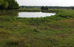 Fm-272, Celeste, TX 75423