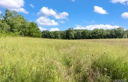 0 Highway 34, Piedmont, MO 63957