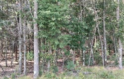 2110 60TH STREET S, Wisconsin Rapids, WI 54494