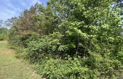 120 Strike King Dr (Lot 219), Cedar Grove, TN 38321