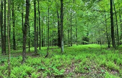 Walker Road, Bemus Point, NY 14712