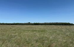 360 +/- Acres, Holt County, O Neill, NE 68763