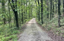 Mount Vernon, AR 72111